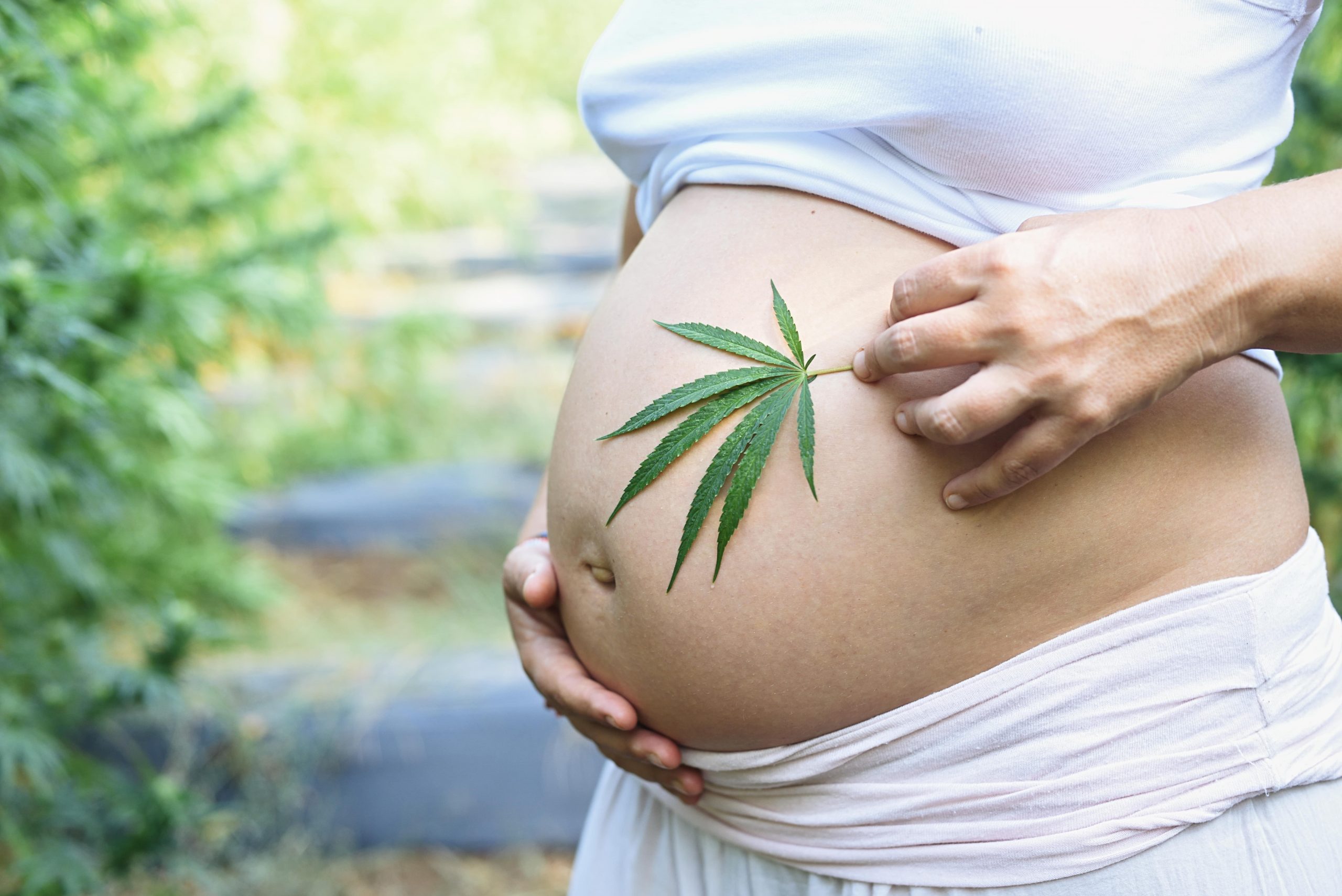 NATURAL FERTILITY