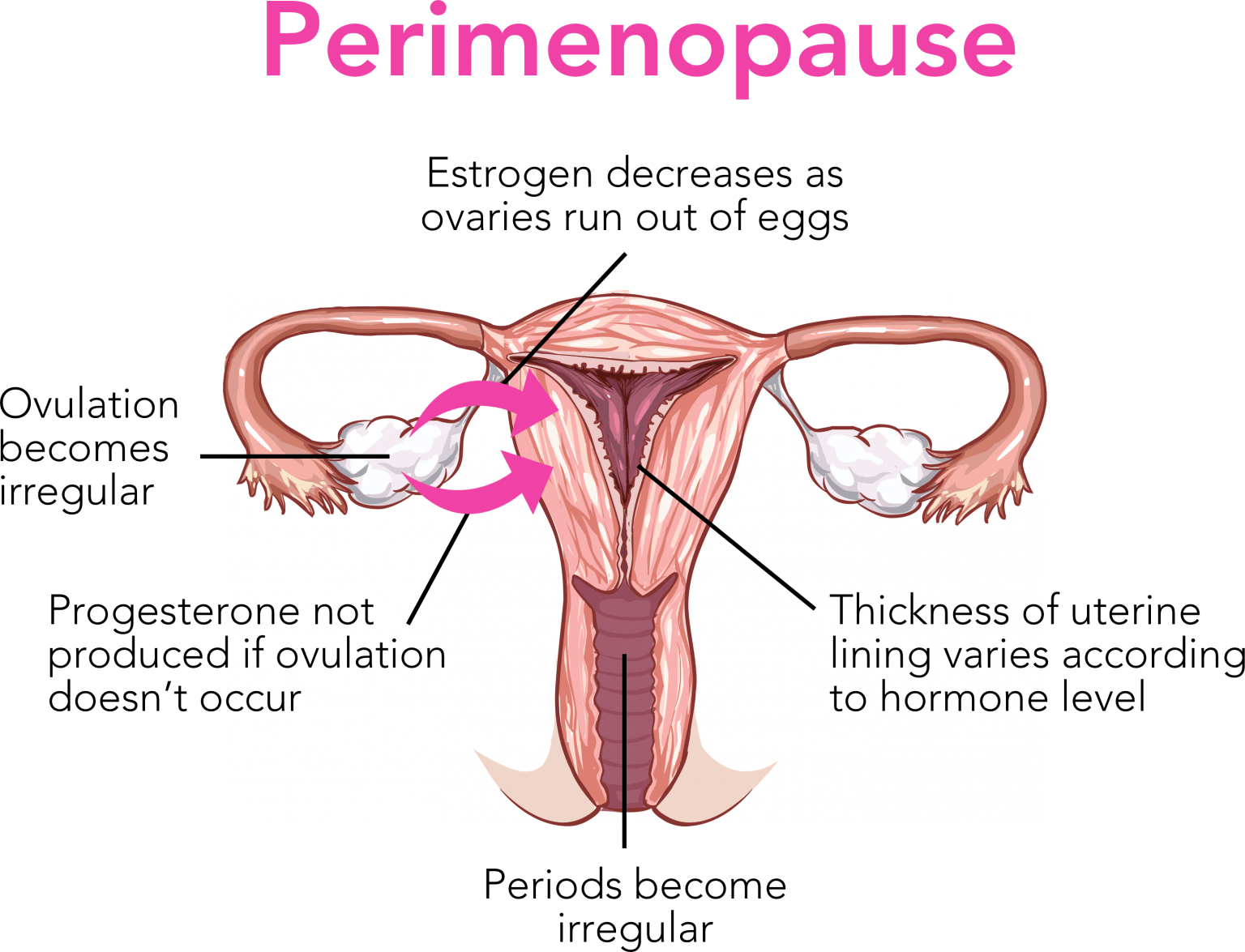 treatment for menopause symptoms
