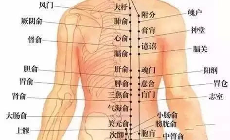 针灸治疗腰背疼痛