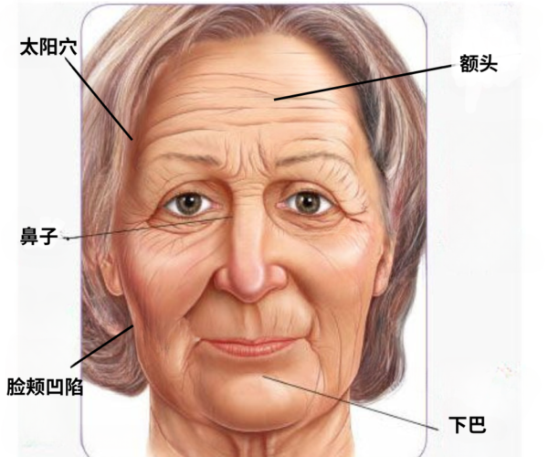 丰隆